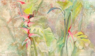 Flora